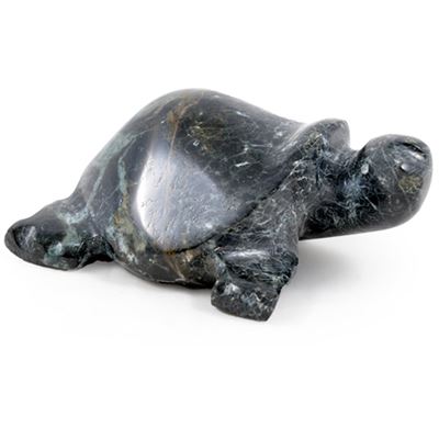 Black & White Marble Turtle